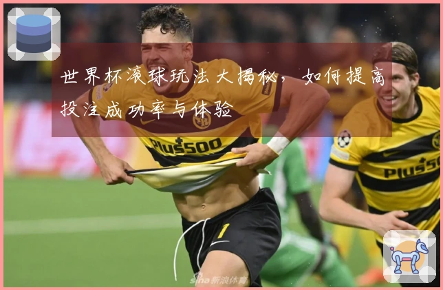 世界杯滚球玩法大揭秘，如何提高投注成功率与体验