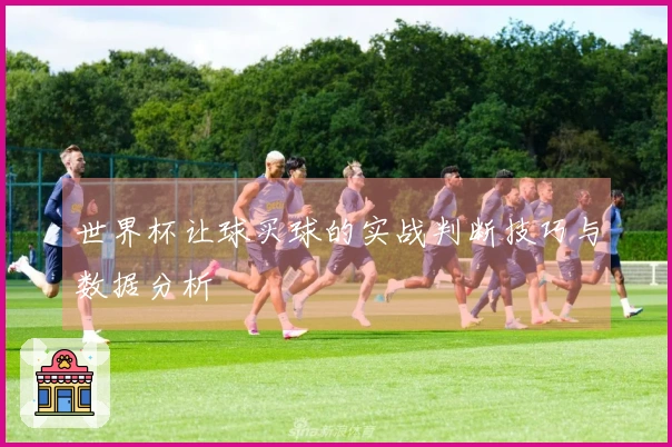 世界杯让球买球的实战判断技巧与数据分析