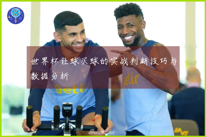 世界杯让球买球的实战判断技巧与数据分析