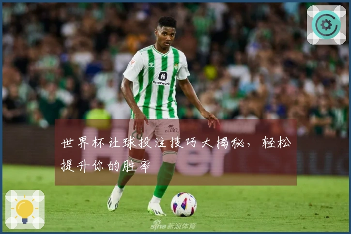 世界杯让球投注技巧大揭秘，轻松提升你的胜率