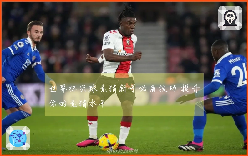 世界杯买球竞猜新手必看技巧 提升你的竞猜水平