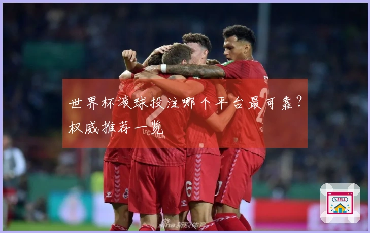 世界杯滚球投注哪个平台最可靠？权威推荐一览