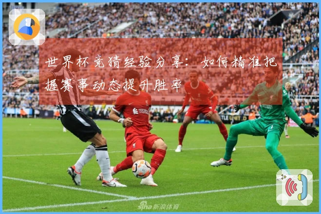 世界杯竞猜经验分享：如何精准把握赛事动态提升胜率