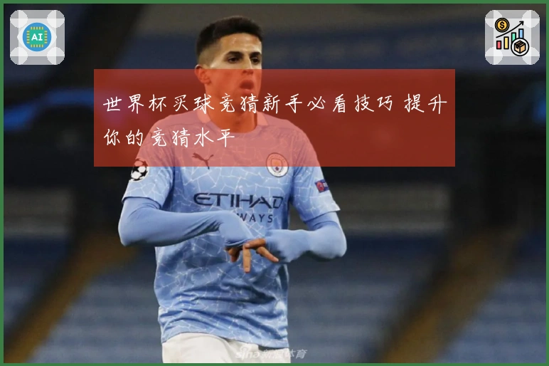 世界杯买球竞猜新手必看技巧 提升你的竞猜水平