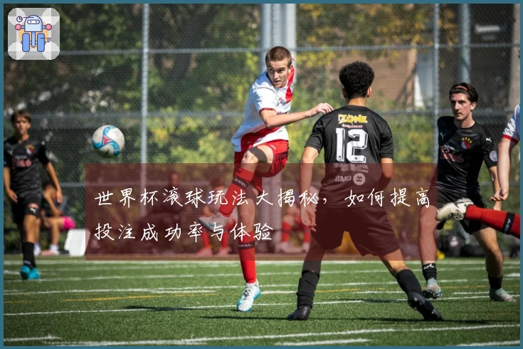世界杯滚球玩法大揭秘，如何提高投注成功率与体验