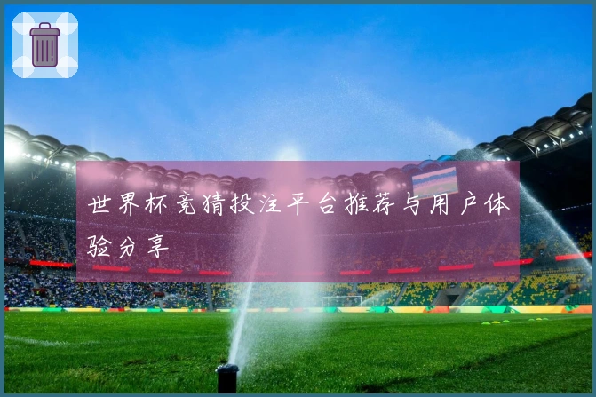 世界杯竞猜投注平台推荐与用户体验分享