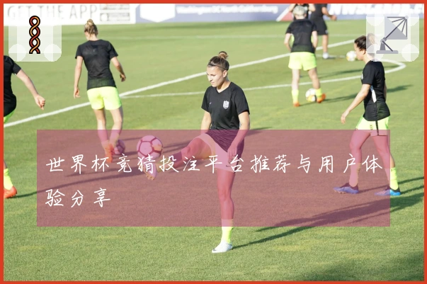 世界杯竞猜投注平台推荐与用户体验分享