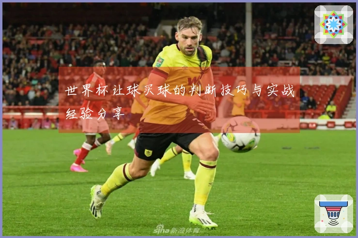 世界杯让球买球的判断技巧与实战经验分享