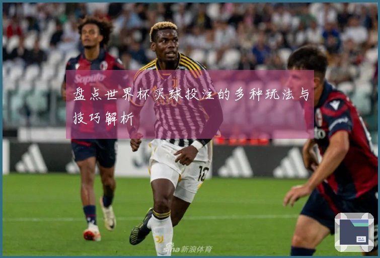 盘点世界杯买球投注的多种玩法与技巧解析