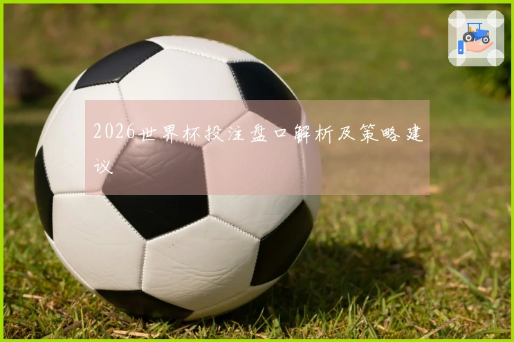 2026世界杯投注盘口解析及策略建议