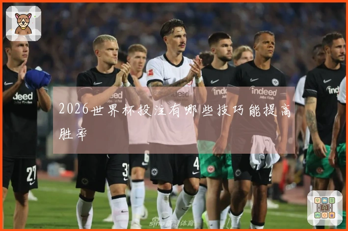 2026世界杯投注有哪些技巧能提高胜率