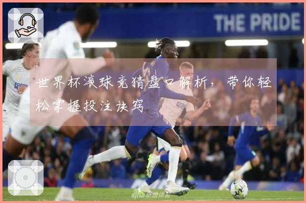 世界杯滚球竞猜盘口解析，带你轻松掌握投注诀窍