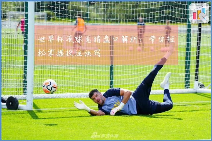 世界杯滚球竞猜盘口解析，带你轻松掌握投注诀窍